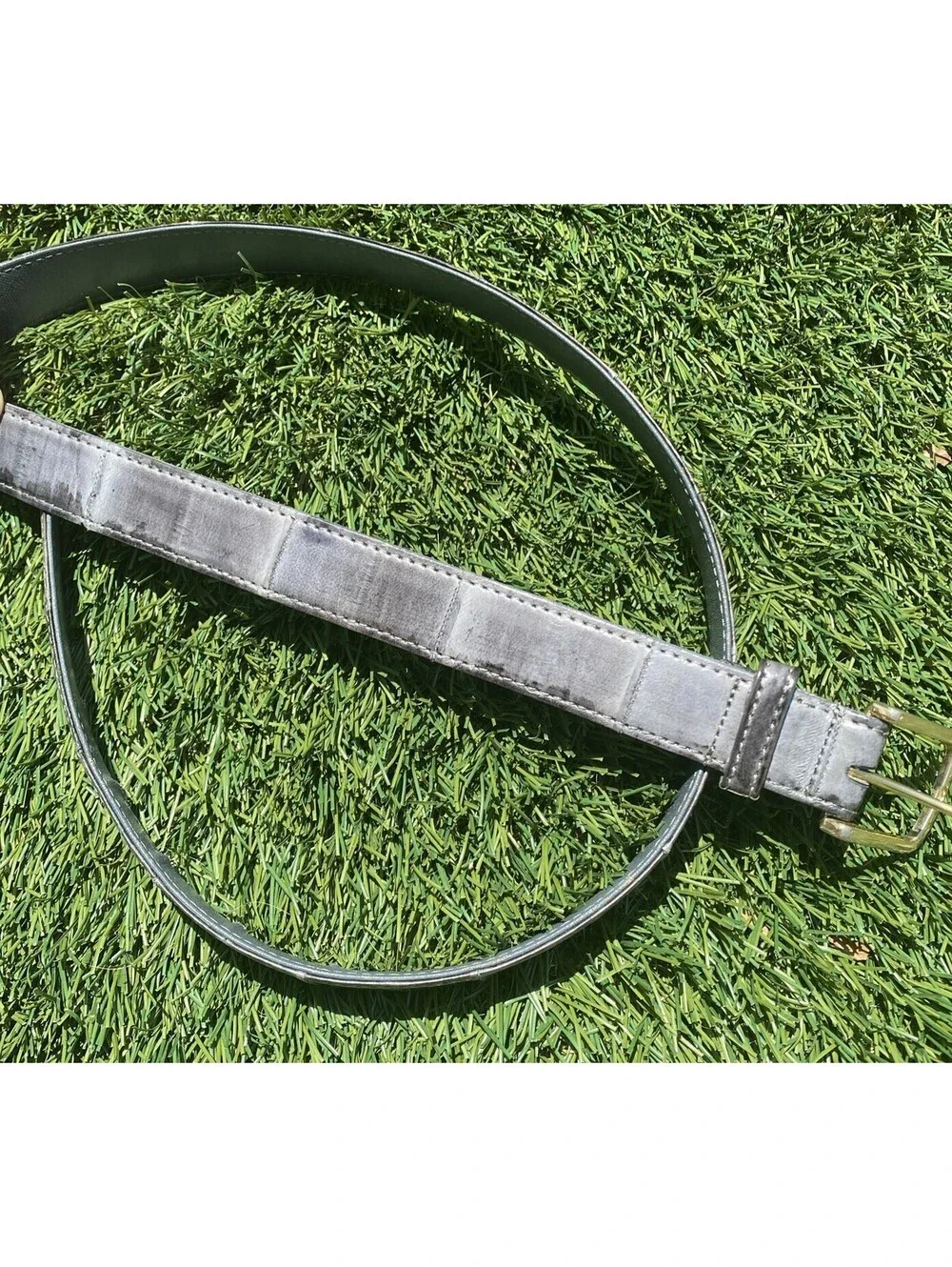 Vg Genuine Exotic EelSkin Gray Leather Belt Sz 32 Solid Brass Buckle Korea